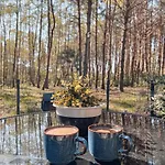 Zalia Kopa Pine Forest With Pool *