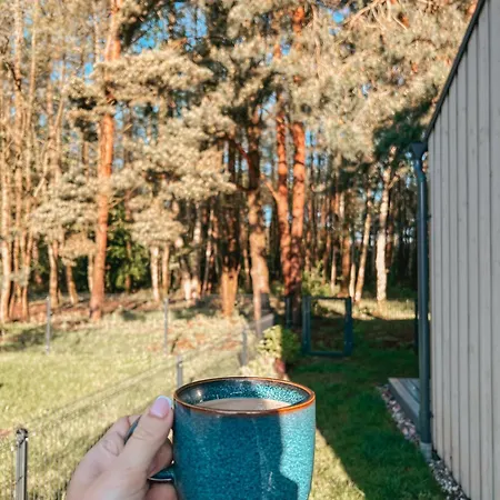 Zalia Kopa Pine Forest With Pool Villa Palanga