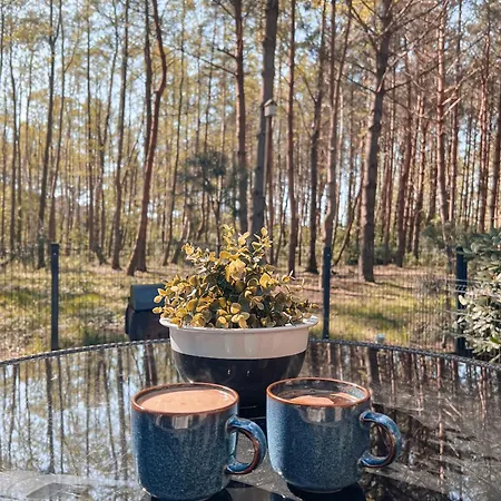 Zalia Kopa Pine Forest With Pool *