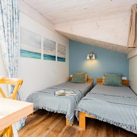 Zalia Kopa Pine Forest With Pool Holiday home Palanga
